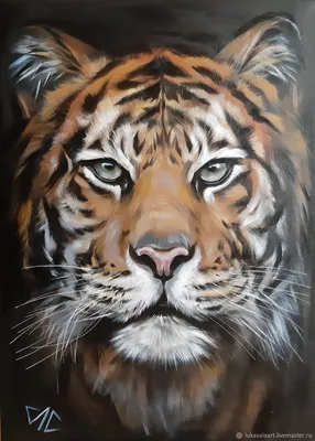 Трафарет лицо тигра - 55 фото