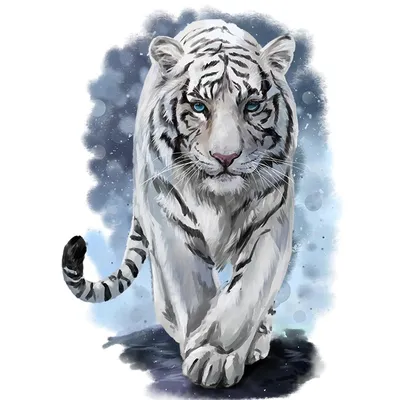 Как нарисовать тигра в прыжке поэтапно 5 уроков
