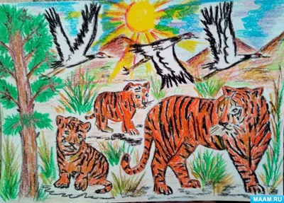 рисунок тигра, иллюстрация, карикатура png | PNGEgg