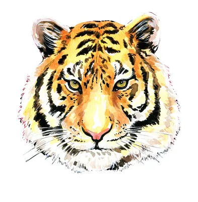 Картина акрилом \"Тигра\" – заказать на Ярмарке Мастеров – LLQRQRU | Картины,  Выборг