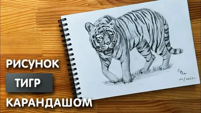цветная голова тигра. абстрактный рисунок тигра на белом фоне.  изолированный. тигр — символ 2022 года Иллюстрация вектора - иллюстрации  насчитывающей иллюстрация, леопард: 224745014