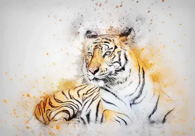Усы Южно-Китайского тигра Рисунок, тигр, акварель, белый, млекопитающее png  | Klipartz