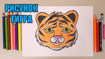 Рисунок сибирского тигра Felidae Cat Animal, тигр, 3D компьютерная графика,  млекопитающее png | PNGEgg