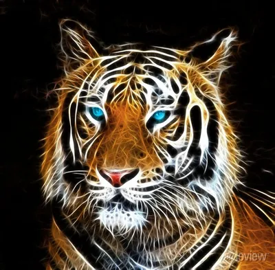 рисунок вектор черно белый тигр PNG , рисунок тигра, черно белый рисунок,  рисунок белого тигра PNG картинки и пнг PSD рисунок для бесплатной загрузки
