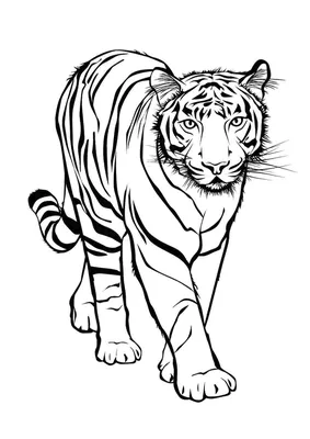 Рисунок пастелью. \"Амурский тигр\" | Пикабу