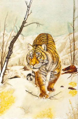 Цифровой рисунок тигра картины на стену • картины лохматый, вырез, мудрый |  myloview.ru
