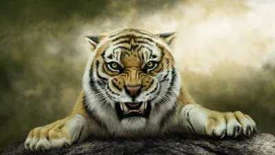 Оскал тигра sumatran стоковое изображение. изображение насчитывающей  суммированного - 41835849