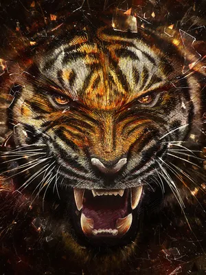 Скачать 2560x1440 тигр, оскал, чб, хищник, клыки обои, картинки 16:9