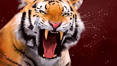 Тигр оскал (62 фото) | Большие кошки, Дикие животные, Тигр