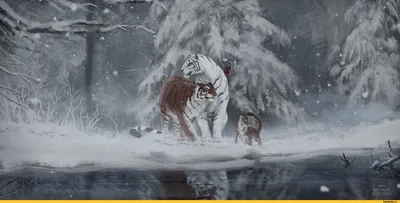 Красивый благородный тигр зимой, …» — создано в Шедевруме