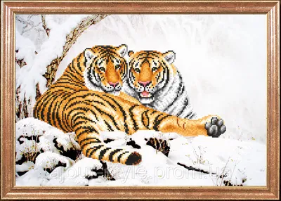Family / красивые картинки :: зима :: тигры :: Ivan Shvydkov :: art (арт) /  картинки, гифки, прикольные комиксы, интересные статьи по теме.