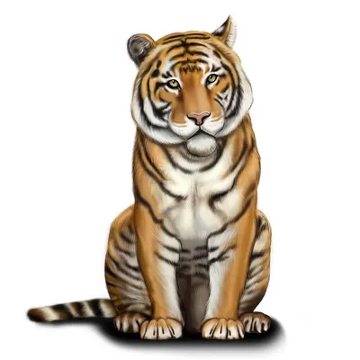 Тигр | Купити картину з малюнком тигра з бурштину | Ukryantar