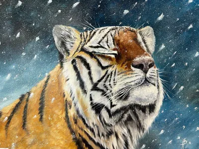 Ученые нацпарка «Земля леопарда» протестировали искусственный интеллект для  распознавания леопардов и тигров | Ветеринария и жизнь