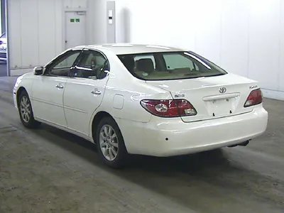 AUTO.RIA – Продам Тойота Виндом 1994 (BE6698EH) бензин 2.5 седан бу в  Николаеве, цена 5300 $