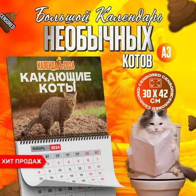 Шесть котят родились у манула Мии в Новосибирском зоопарке | ОБЩЕСТВО | АиФ  Новосибирск