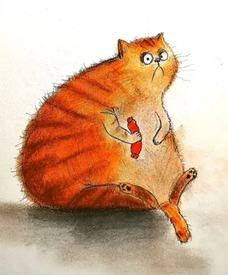 Самый толстый кот в мире: топ-5 рекордсменов