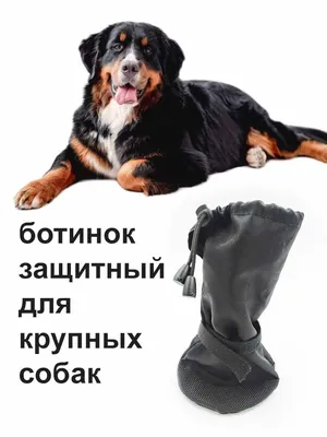 Ботинок носок защитный обувь для крупных собак размер XL - купить с  доставкой по выгодным ценам в интернет-магазине OZON (854537433)