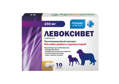 Диронет 1000 антигельминтик для собак крупных пород таблетки - купить по  цене от 740 рублей в Новосибирске | Мокрый Нос