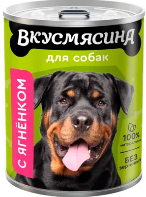 Антигельминтик для собак Elanco Мильбемакс крупных пород 2таблетки купить  по цене 1065 ₽ с доставкой в Москве и России, отзывы, фото
