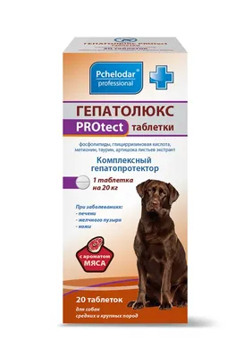 Стоп-стресс для собак крупных пород в Санкт-Петербурге