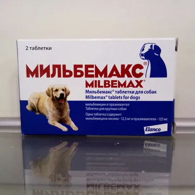витамины для крупных собак (свыше 30 кг), БИОРИТМ VEDA 8711663 купить за  215 ₽ в интернет-магазине Wildberries