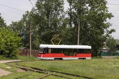 В Петербург поступило около 400 новых троллейбусов и трамваев