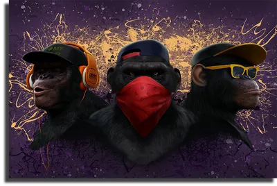 Фото три обезьяны 