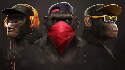 Картина на холсте \"Три мудрые обезьяны\" Три-мудры-обезьяны_3_55x110 -  купить по низкой цене в интернет-магазине OZON (788864024)