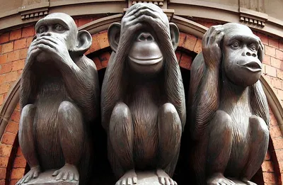 Постер Три обезьяны в очках с долларами на стену купить от 290 рублей в  арт-галерее DasArt