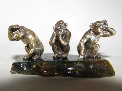 три морды обезьяны сидят и смотрят в сторону, три обезьяны, Hd фотография  фото, примат фон картинки и Фото для бесплатной загрузки