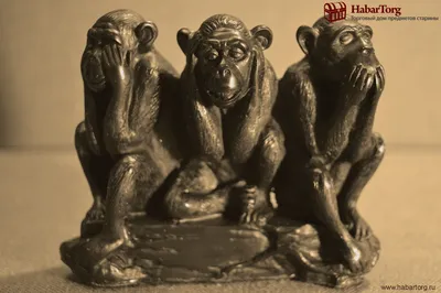 Картина на стену большая \"Три мудрые обезьяны\" 80x140 см - купить по низкой  цене в интернет-магазине OZON (340137288)