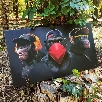 VLADIMIR CHEREP | тату Москва on Instagram: \"Считается, что три обезьяны  символизируют собой идею недеяния зла и отрешённости от неистинного. «Если  я не вижу зла, не слышу о зле и ничего не