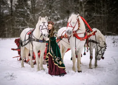 Катание и фотосессия с тройкой лошадей