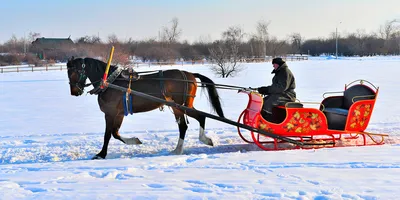 Катание на тройке лошадей в Москве, аренда тройки на свадьбу