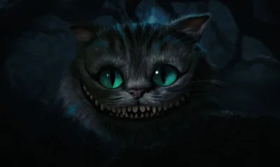 Фото улыбки чеширского кота фотографии