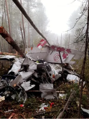 Крупнейшая авиакатастрофа в истории России унесла жизни 224 человек -  Ведомости