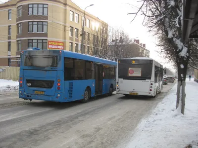 Автобусы на Рязань стали одними из самых популярных из столицы » Новости  Рязани
