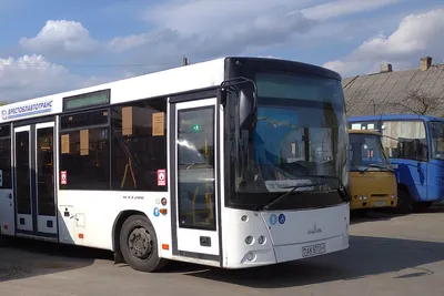 В Барнауле разбился китайский автобус - KP.RU