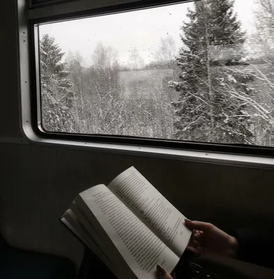 Идеи для фото инстаграм photo idea Instagram forest winter зима лес поезд  by @bananaintravel | How to dry basil, Background, Herbs