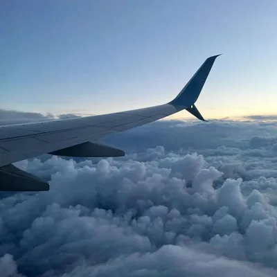 Юлия on Instagram: “Стикеры для сторис 🧡 Или крыло самолета идеально  вписывающееся в ленту 💛” | Самолет, Крылья, Лента