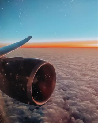 🦇 on Instagram: “Как же я обожаю летать на самолёте ✈️ А ещё больше обожаю  смотреть на то , как боится моя мама Летаю лет с 4 , как в Питер … | Vibes,  Okay gesture