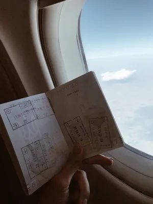 Пассажир принес проектор в самолет и устроил \"кинотеатр\" в небе | Tengri  Travel