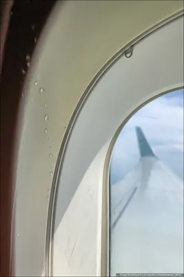 Туристам сообщили, почему всегда следует бронировать место в самолете у окна  чтобы не заболеть | Туристические новости от Турпрома