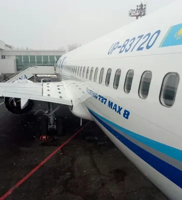 Белавиа получила Boeing 737-8 нового поколения: как выглядит самолет  изнутри и снаружи