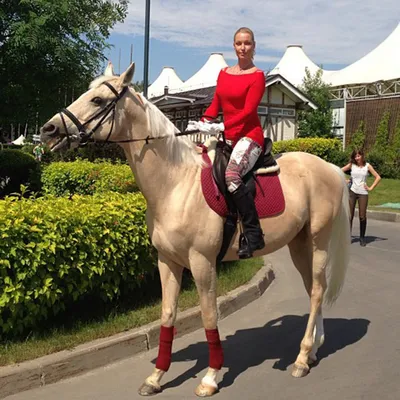 Фото волочковой с конем 