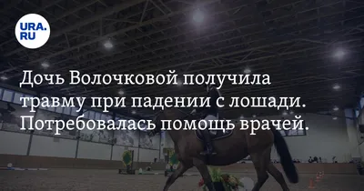 Новый поклонник подарил Анастасии Волочковой коня стоимостью миллион  долларов - Вокруг ТВ.