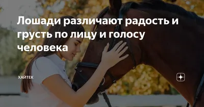 Дикие лошади - Мой Конь