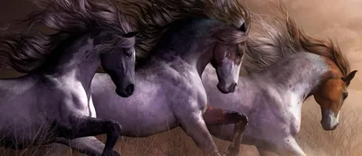 Любовь к лошадям - истории дружбы людей и животных с человеческими глазами  | Журнал Кто Главный