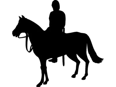 Семинар: \"Базовая подготовка лошади. Корректировка лошади в работе путем  упражнений и гимнастики. Коррекция посадки всадника\" - Федерация конного  спорта Санкт-Петербурга