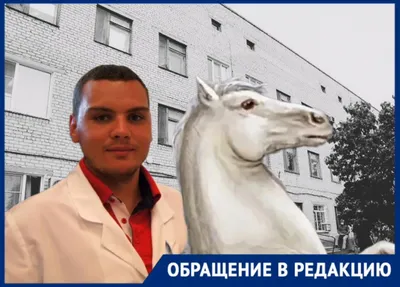 Белорусский всадник Зеленко и его лошадь допущены к Олимпиаде - 29.07.2021,  Sputnik Беларусь